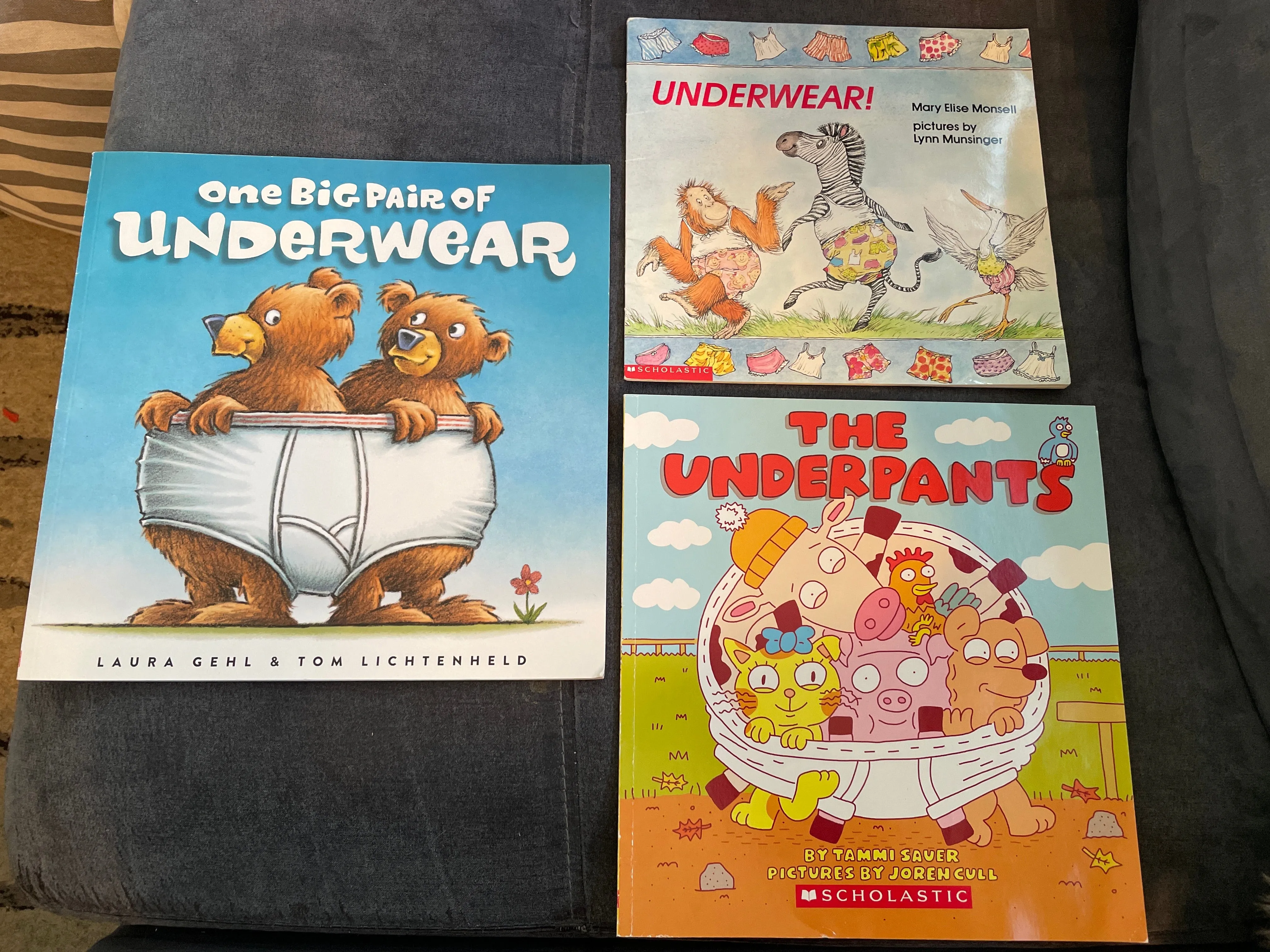 3 underwear books  - size Picture Books