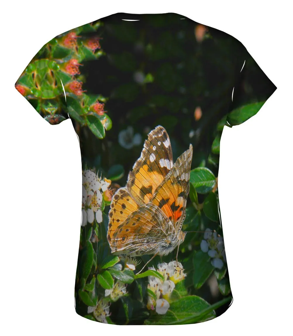 Painted Butterfly Out For A Stroll