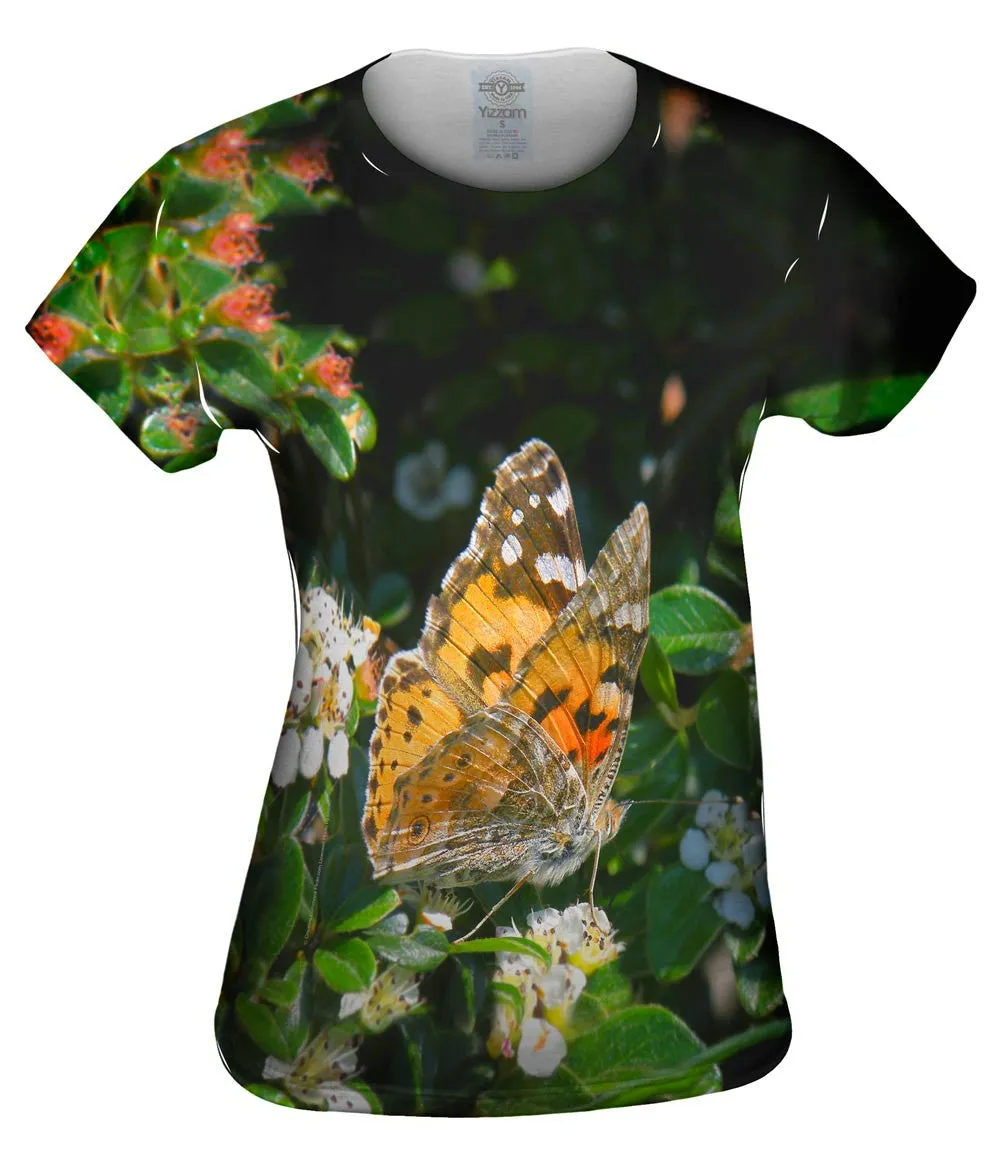 Painted Butterfly Out For A Stroll