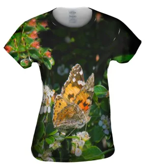 Painted Butterfly Out For A Stroll