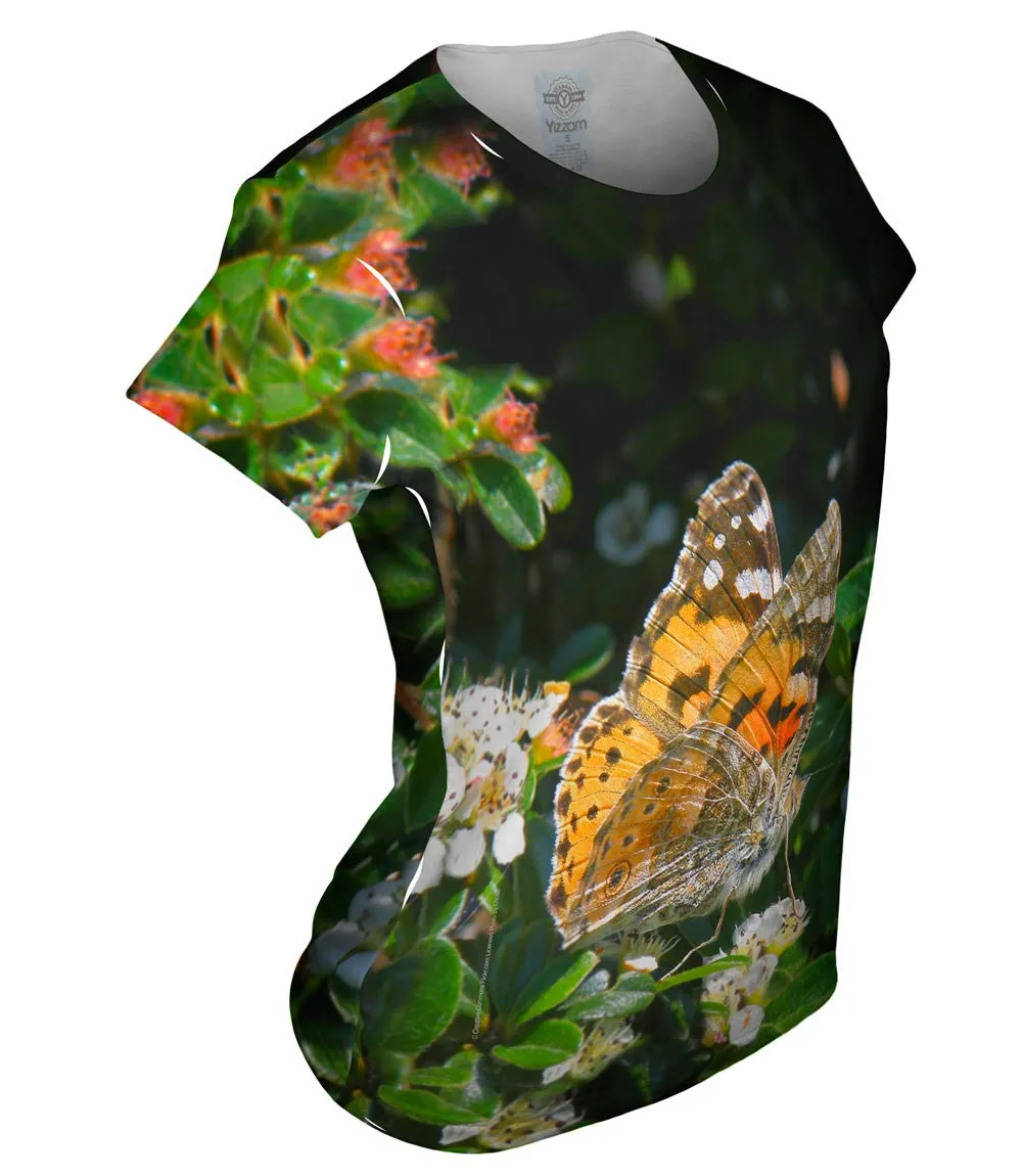 Painted Butterfly Out For A Stroll