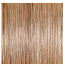 RAQUEL WELCH - STYLE FORWARD 16″ TOP HAIR PIECE